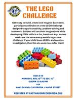 The LEGO Challenge